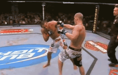 knockout-punch-photo-35.gif
